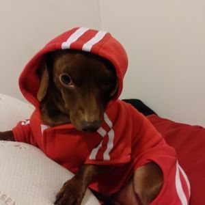 Meet your Posher, Cindy